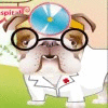 Dr.Bulldog's Pets Hospital gra
