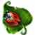 DreamWoods 2 gra