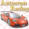 Autocross Racing gra