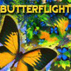 Butterflight gra
