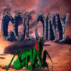 Colony gra
