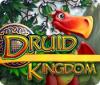 Druid Kingdom gra