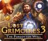 Lost Grimoires 3: The Forgotten Well gra