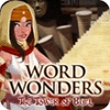 Word Wonders gra