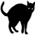 Midnight Mysteries: Haunted Houdini Deluxe gra