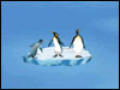 Free download Arktyczna Przygoda screenshot
