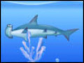 Free download Arktyczna Przygoda screenshot