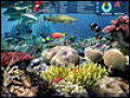 Free download Hawaiian Explorer: Pearl Harbor screenshot