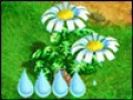 Free download Magic Farm screenshot