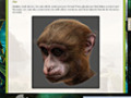 Bezpłatne pobieranie Return to Mysterious Island 2: Mina's Fate Strategy Guide zrzutu ekranu 2