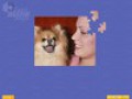 Bezpłatne pobieranie Super Jigsaw Puppies zrzutu ekranu 1