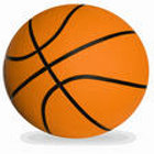 Basket Ball. A New Challenge gra