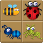 Bug Box gra