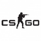 Counter-Strike: Global Offensive gra