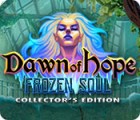 Dawn of Hope: The Frozen Soul Collector's Edition gra