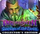 Dreampath: Guardian of the Forest Collector's Edition gra