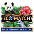 Eco-Match gra