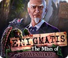 Enigmatis: The Mists of Ravenwood gra