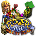 Flower Shop: Big City Break gra