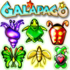 Galapago gra Galapago gra