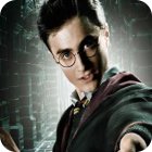 Harry Potter: Fight the Death Eaters gra