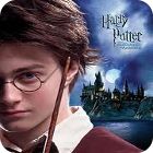 Harry Potter: Puzzled Harry gra