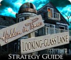 Hidden in Time: Looking-glass Lane Strategy Guide gra