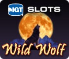 IGT Slots Wild Wolf gra