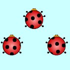 Ladybug Pair Up gra