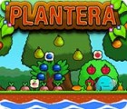 Plantera gra