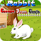 Rabbit Escape From Eagle gra