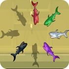 Shark Hunter gra Shark Hunter gra