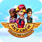 Sky Crew Collector's Edition gra
