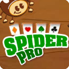 Spider Pro gra