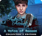 The Andersen Accounts: A Voice of Reason Collector's Edition gra