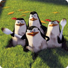The Penguins of Madagascar: Pollution Solution gra