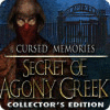 Cursed Memories: The Secret of Agony Creek Collector's Edition game