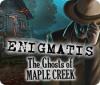 Enigmatis: Duchy Maple Creek game