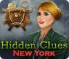 Hidden Clues: New York game