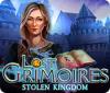 Lost Grimoires: Stolen Kingdom game