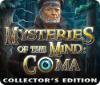 Mysteries of the Mind: Coma Collector's Edition game