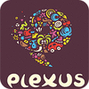 Plexus Puzzles: Rebuild the Earth game