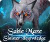 Sable Maze: Sinister Knowledge Collector's Edition game