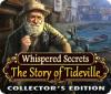 Whispered Secrets: The Story of Tideville Collector's Edition game