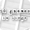 10 Gnomes in Liege gra