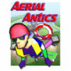 Aerial Antics gra