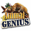 Animal Genius gra