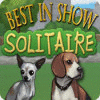 Best in Show Solitaire gra