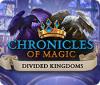 Chronicles of Magic: The Divided Kingdoms gra