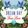 Dream Day True Love gra